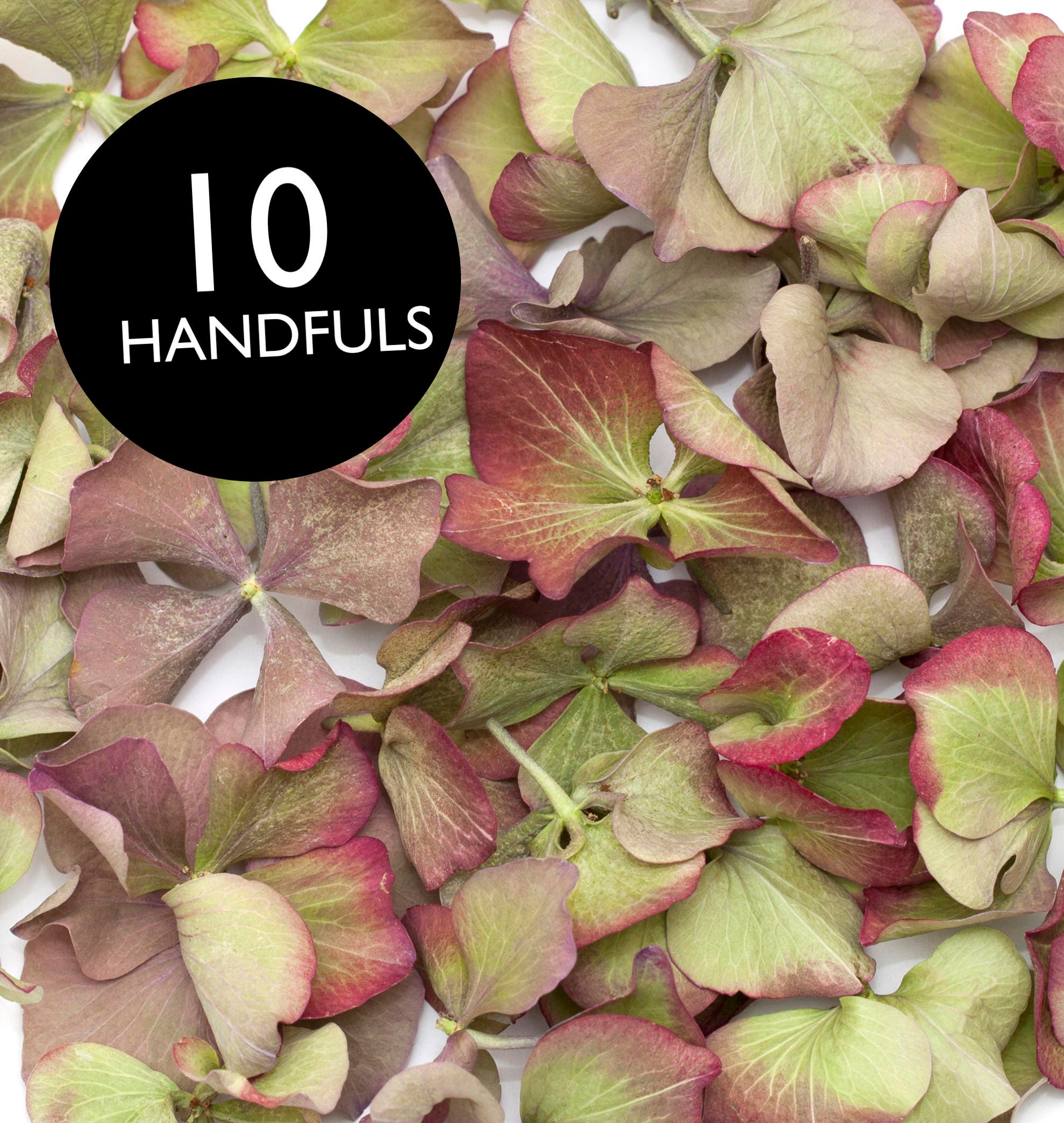 Biodegradable hydrangea petals for wedding confetti / Etsy