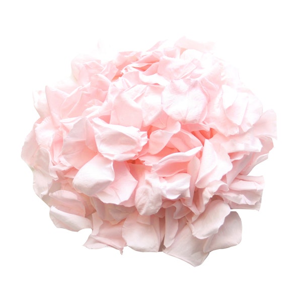 Pale pink rose petals for wedding confetti / decoration.  Pale pink preserved rose petals, biodegradable