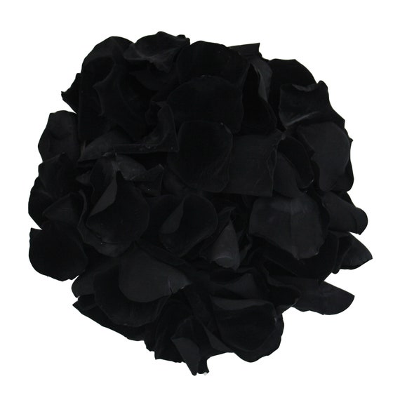 Black rose petals for wedding confetti / decoration. Preserved rose petals,  biodegradable large
