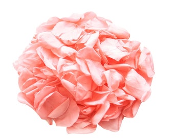 Rose petals for wedding confetti / decoration. Various coloured preserved rose petals, biodegradable