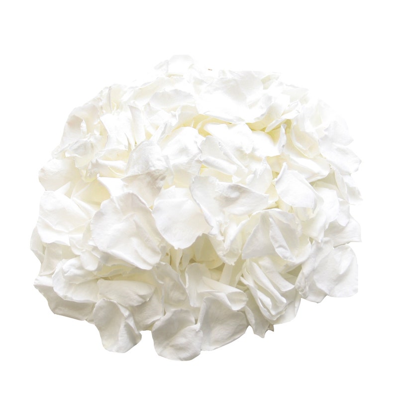 White rose petals for wedding confetti / decoration. Preserved rose petals, biodegradable Large size image 2