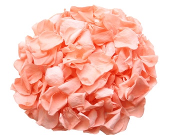 Firefly Imports Homeford 400-Piece Faux Rose Petals Confetti Table Scatter Coral PSNS8555CO Firefly Imports Homeford 400-Piece Faux Rose Petals Confetti Table Scatter Coral PSNS8555CO