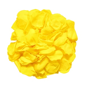 Yellow Rose Petals for Wedding Confetti / Decoration. Yellow Preserved ...