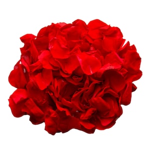 Red Preserved Rose Petals: Biodegradable Wedding Confetti