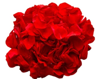 Red Preserved Rose Petals: Biodegradable Wedding Confetti