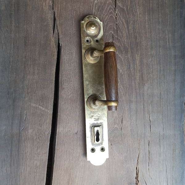 poignée de porte vintage en laiton avec support en chêne des marais