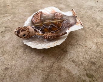 OOAK Green Sea Turtle Hatchling - Realistic Sculpture - Ocean Art