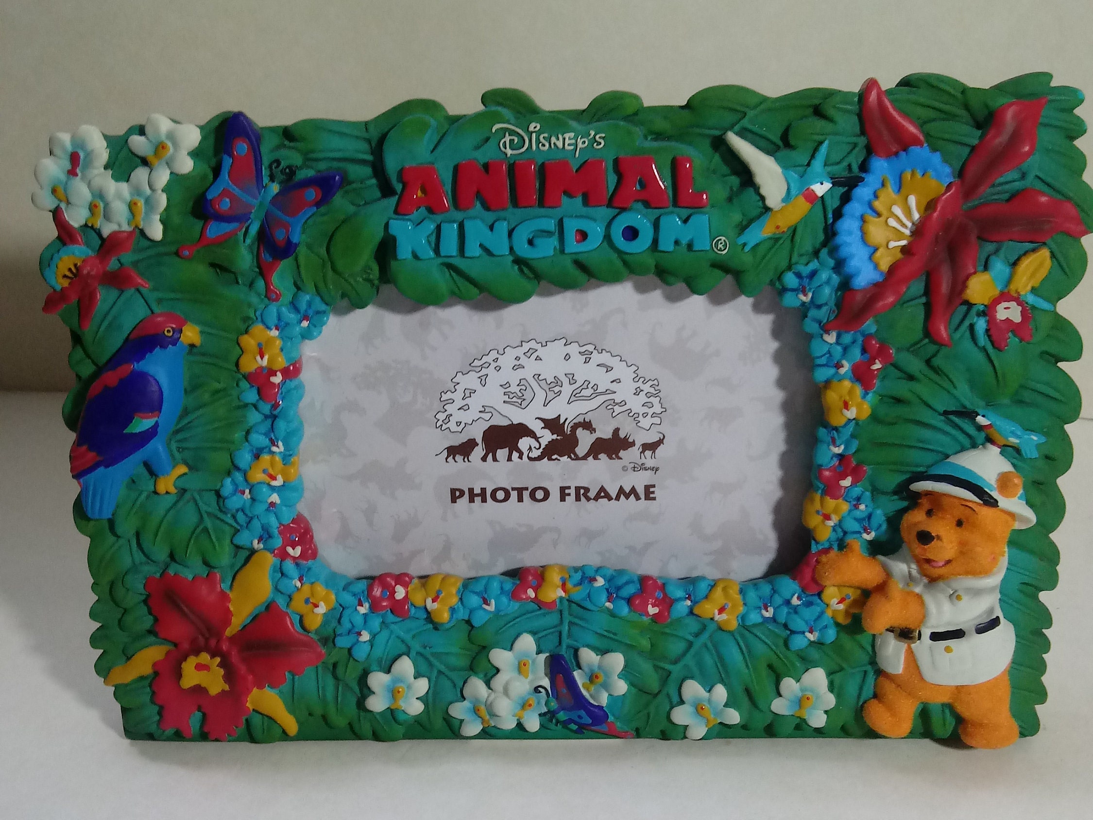Disney's Animal Kingdom Picture Frame | Etsy