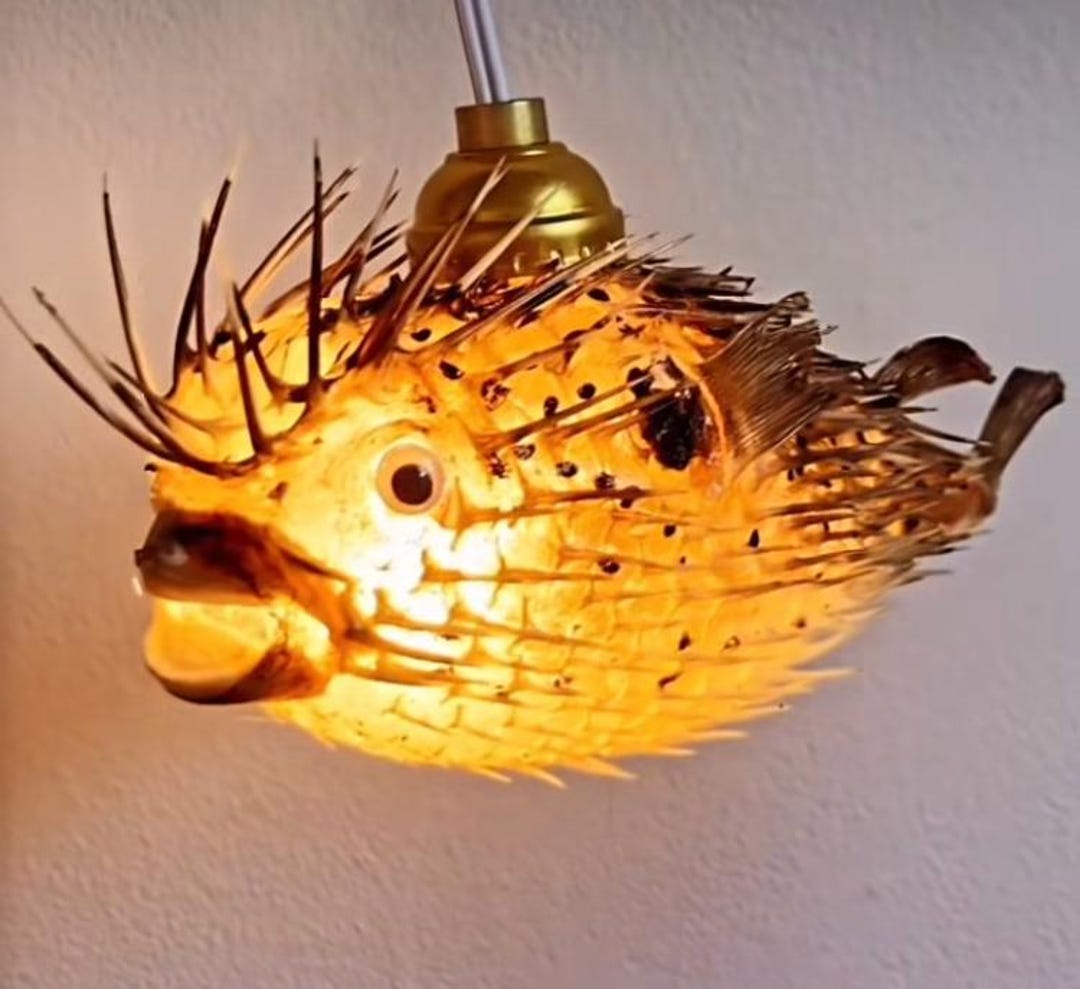 Lampe De Table Poisson Design Unique – Artisanat Fait Main Pour Déco Maison Originale