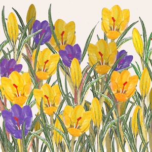 Potato printed &#39;Hello Spring&#39; greeting card