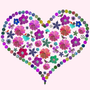 Coeur d'oiseau rose
