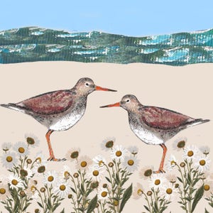 Biglietto d'auguri di Redshanks by the Sea