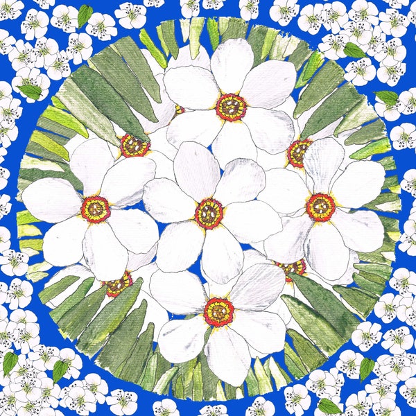 Potato Printed 'Narcissi and Blossom' Greetings Card