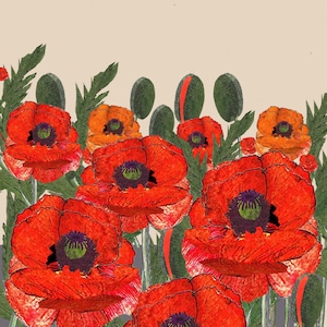 Carte Champ de coquelicots