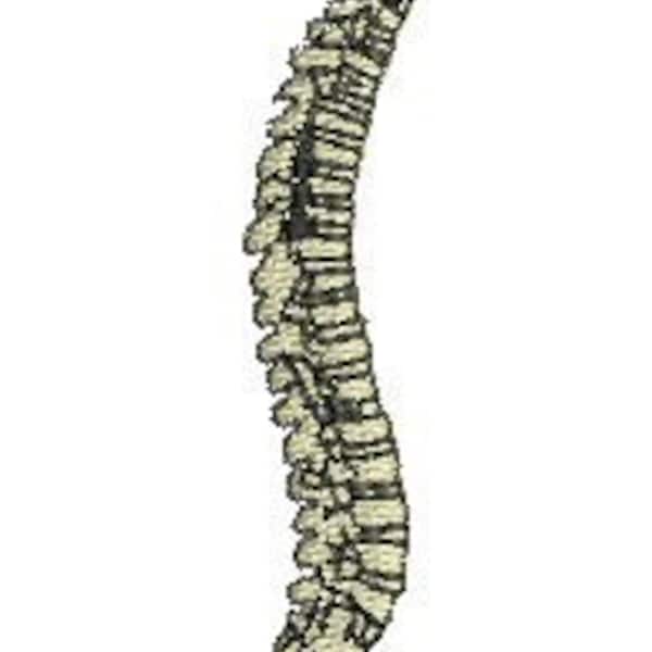 Chiropractic Spine machine embroidery design, chiropractor, doctor