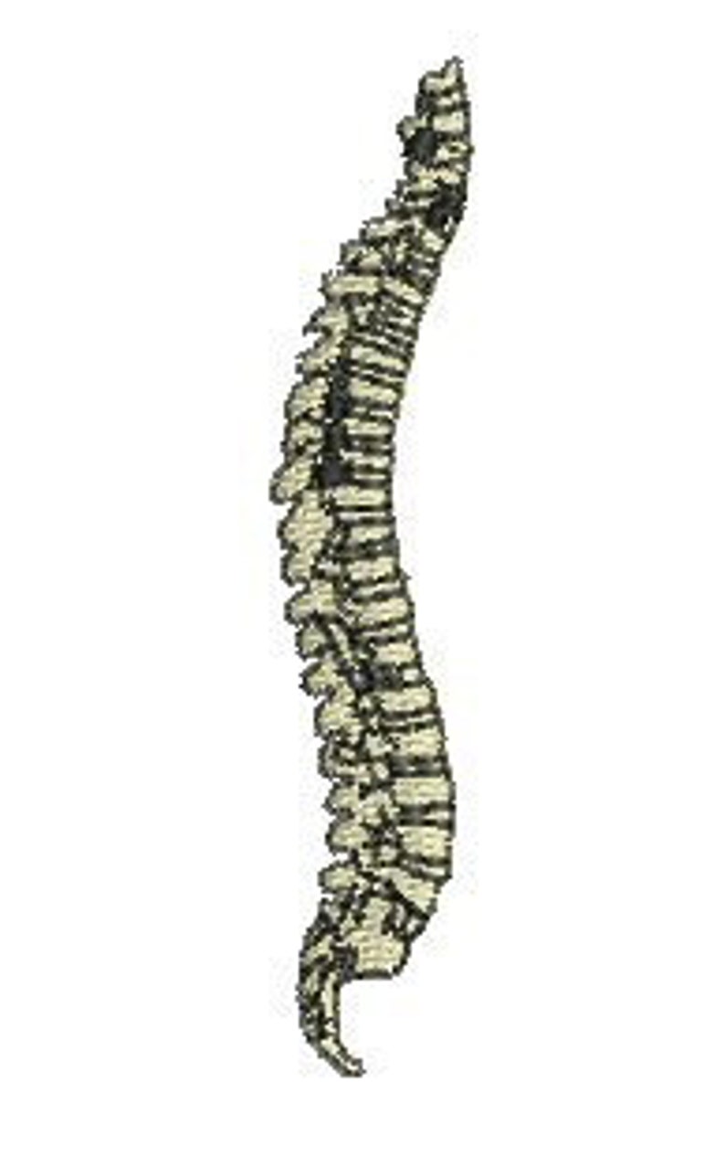 Chiropractic Spine Machine Embroidery Design, Chiropractor, Doctor Etsy