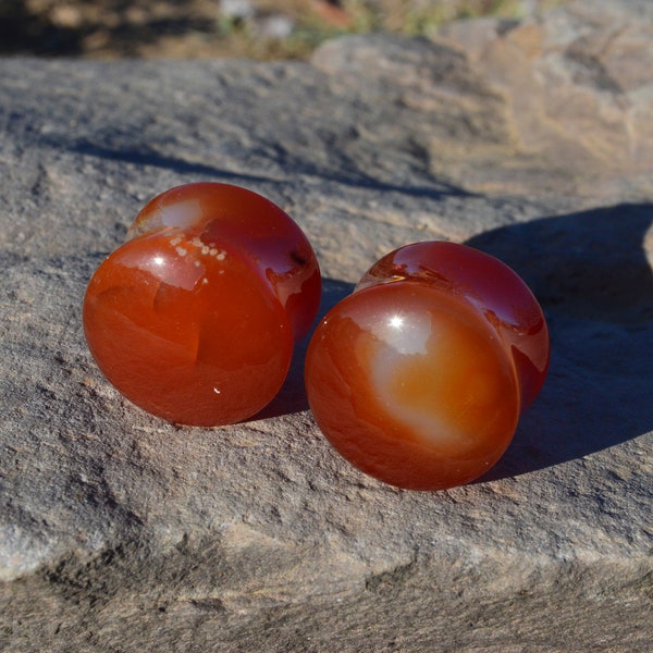 Carnelian Plugs