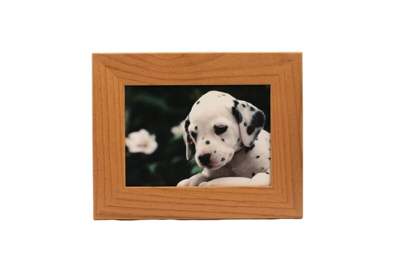 Personalized Picture Frame Dog Picture Frame Pet Picture Etsy