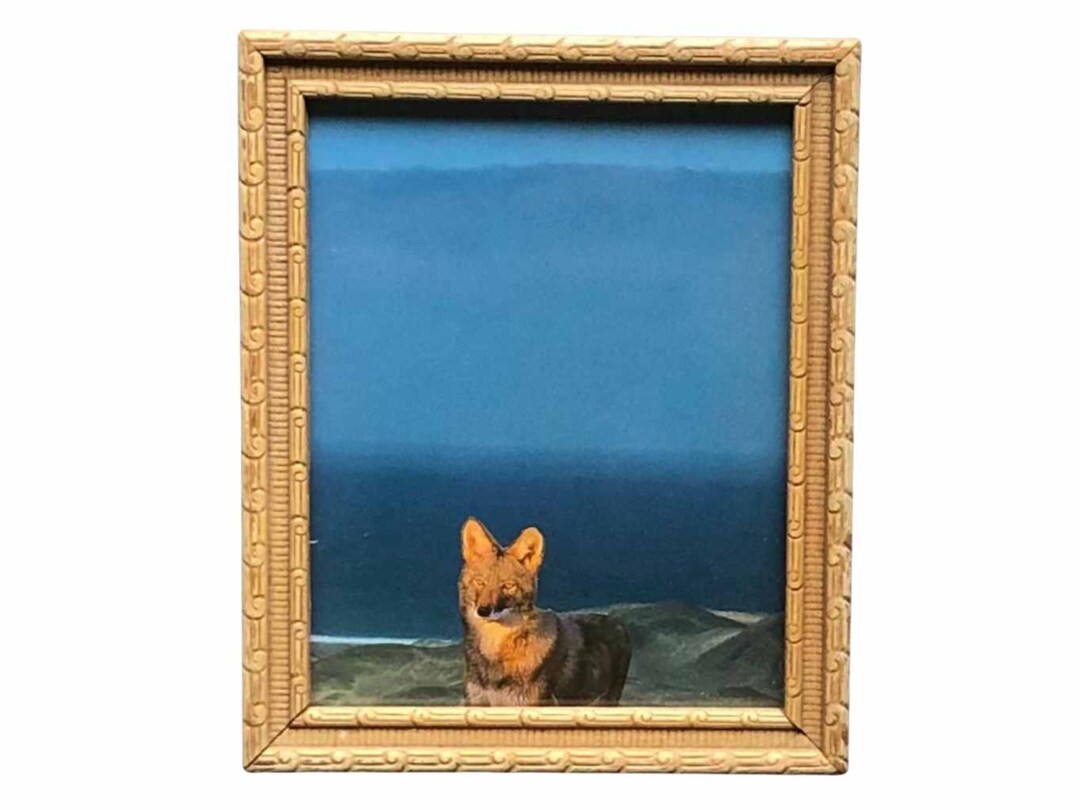 Whimsical Animal Collage Art Animal Art for Home Decor Etsy