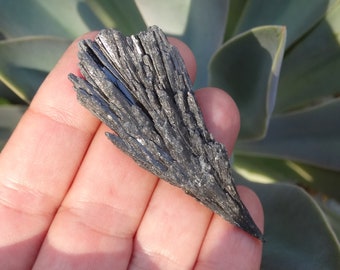 Black Kyanite Blade Rough Cluster Kyanite Fan Mineral Specimen