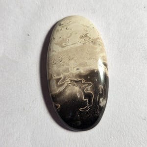 Natural Fossil Palm Root Agate Cabochon, AAA Petrified Palm Root Cabochon, hand polished, Cabochon Gemstone.43.20cts.size.41x22x6MM