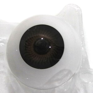 May include: Two brown and black doll eyes with white sclera. The eyes are packaged in clear plastic.
