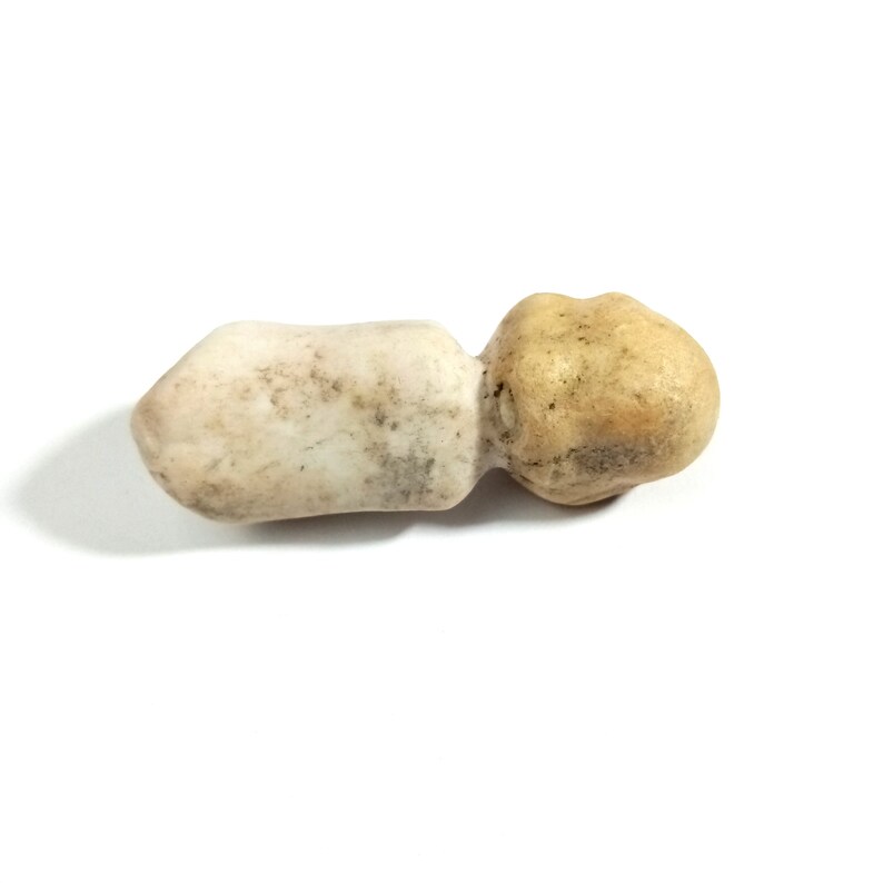 May include: A single, light brown mushroom with a white stem. The mushroom has a rounded cap and a slightly pointed stem.