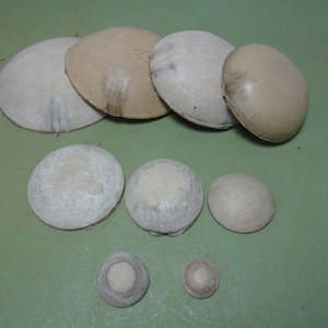 Puppenkopf pate, Puppenkopfabdeckung, Pappe Ersatz für antike oder Vintage Puppen, antike Puppen Reparatur, Made in Thüringen, Deutschland