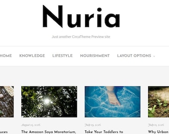 Modern And Responsive WordPress theme for Blogging