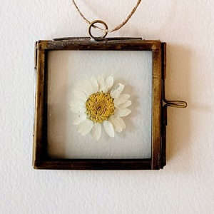 Mini Metal Hanging Frame with a Pressed Daisy
