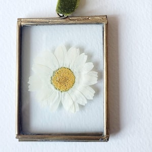 May include: A framed pressed daisy with a gold-colored metal frame and a green velvet ribbon for hanging. The daisy has white petals and a yellow center. The frame is rectangular and the ribbon is knotted.