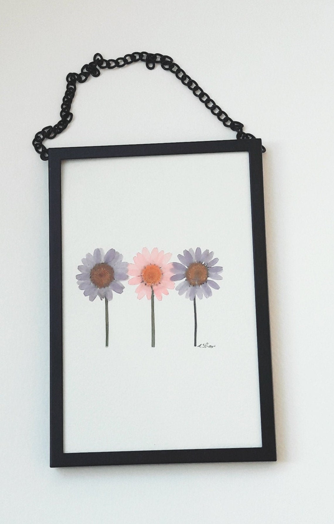 Black Chain Hanging Frame with Pressed Asters Etsy