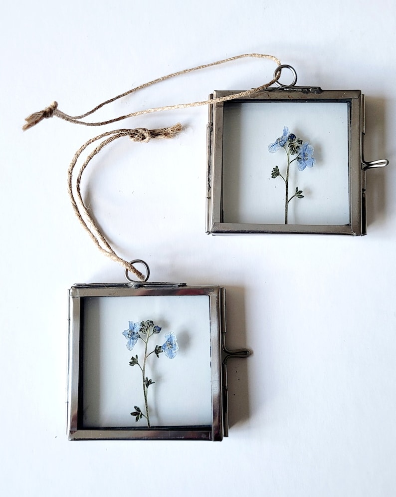 May include: Two small silver picture frames with a delicate blue flower pressed inside each frame. The frames have a string attached for hanging.