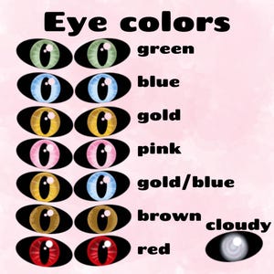 May include: A chart showing different eye colors with illustrations of eyes. The colors include green, blue, gold, pink, gold/blue, brown, and red. The chart also includes a cloudy eye.