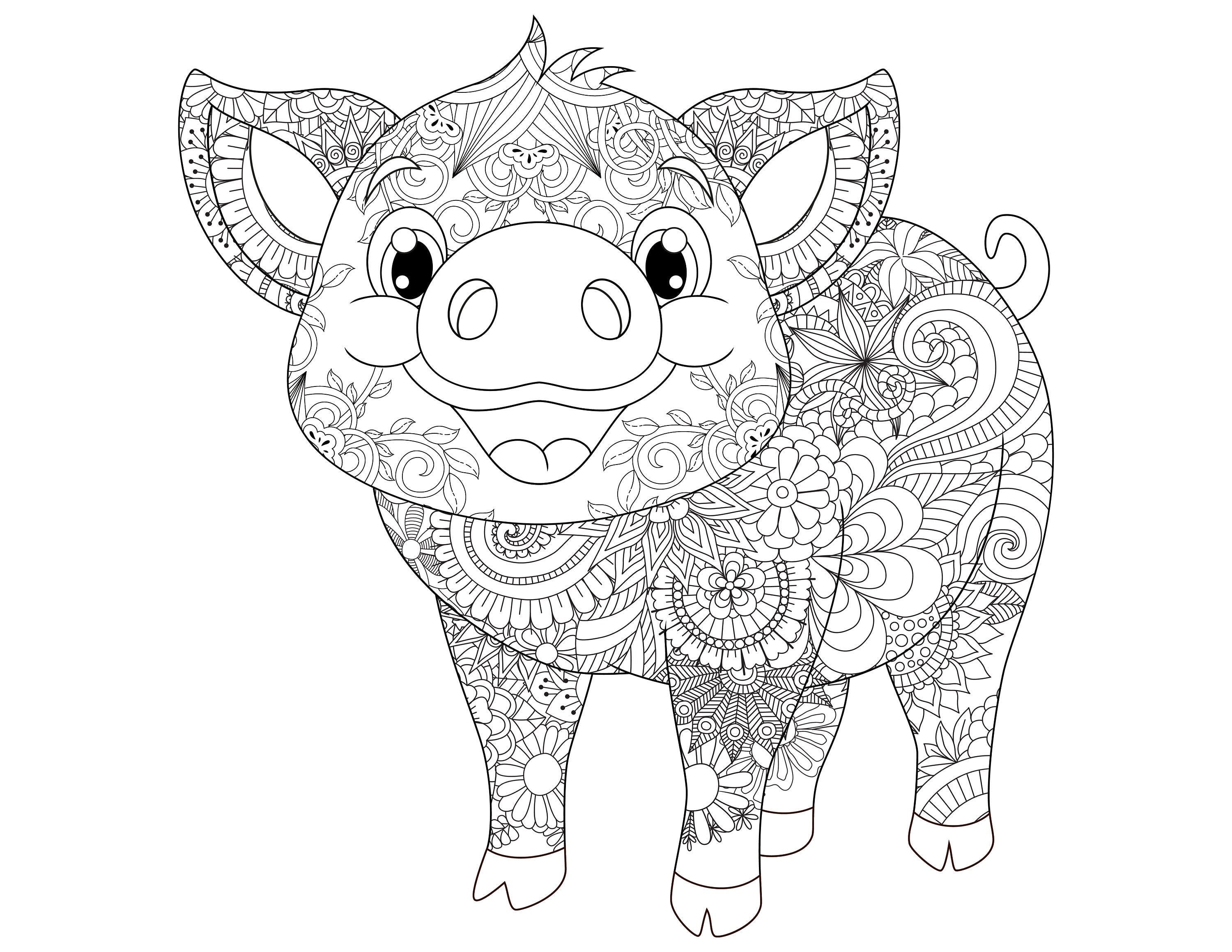 8800 Collection Coloring Pages Animal  Latest HD