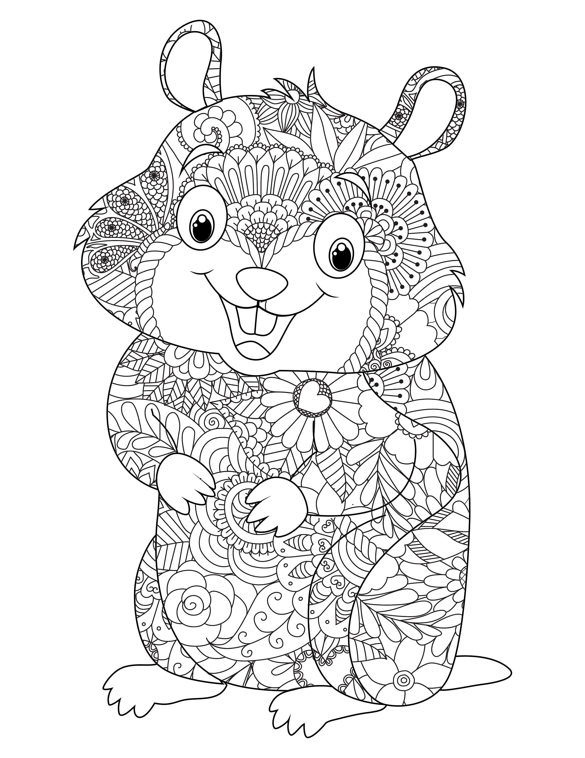 Coloriage Mandala Animaux Facile Hamster Coloriage Mandala Animaux Téléchargement - Etsy Canada