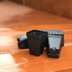 May include: Four black plastic plant pots on a wooden surface. The pots are square and have a textured surface. The surface is wet.
