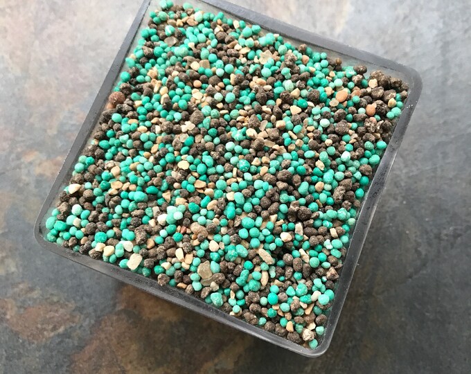 2 Lbcactus Plant Food/succulent Plant Food/34months Slow Etsy