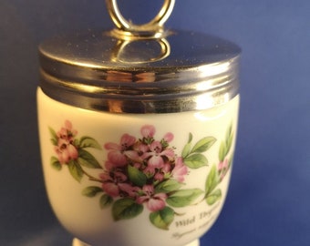 Codeur d'oeufs Royal Worcester. Porcelaine. un seul oeuf. Conception de thym sauvage