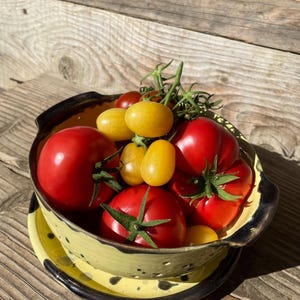 Op de afbeelding: Een gele keramische vergiet met donkerbruine randdetails, gevuld met een mix van verse rode en gele tomaten aan de tros. De vergiet heeft kleine afvoergaten aan de zijkanten en staat op een bijpassend geel keramisch bord.