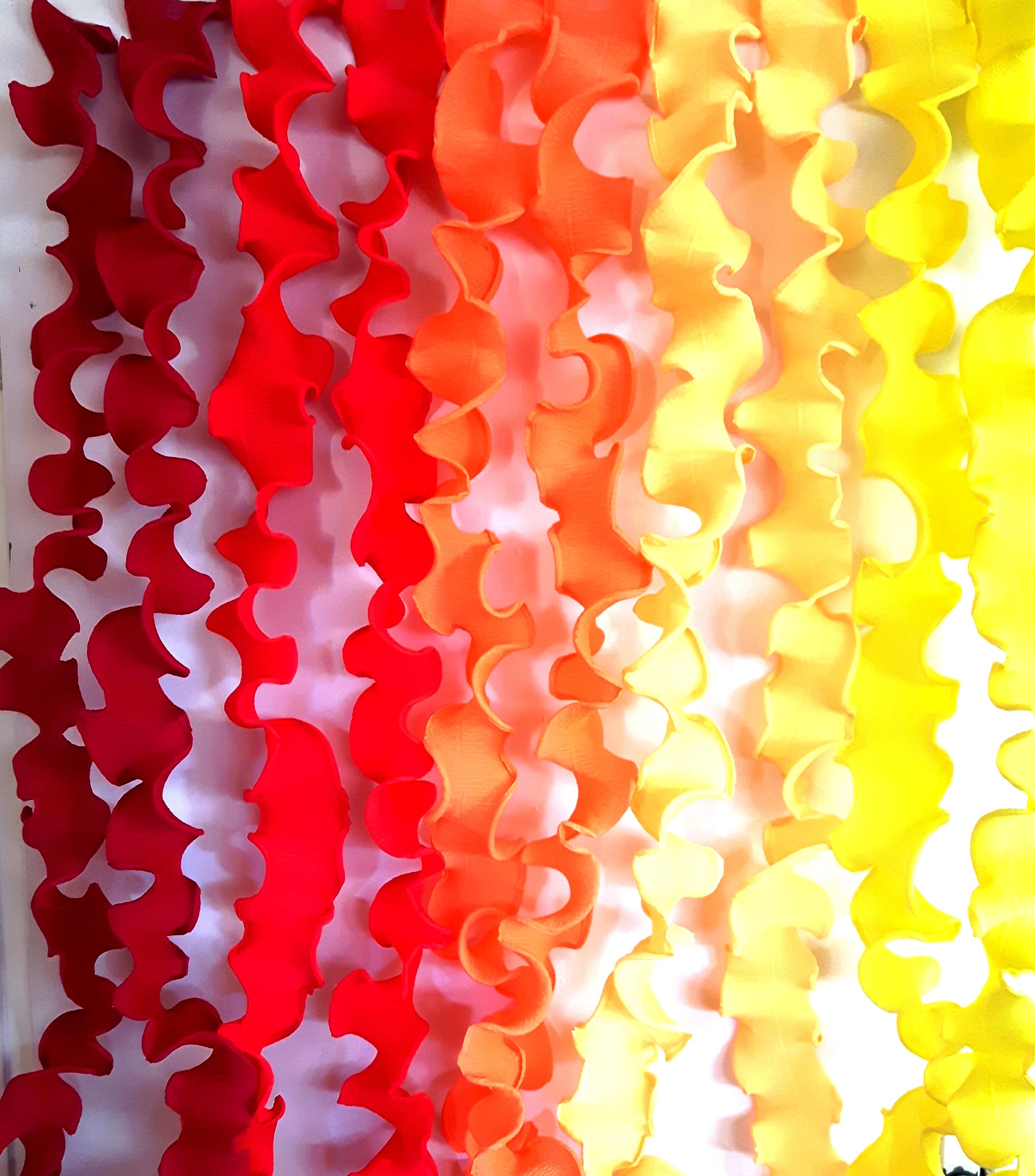 Mexican Fiesta Streamer Backdrop with Crepe Paper Fiesta Flowers and  Ruffled Party Streamers