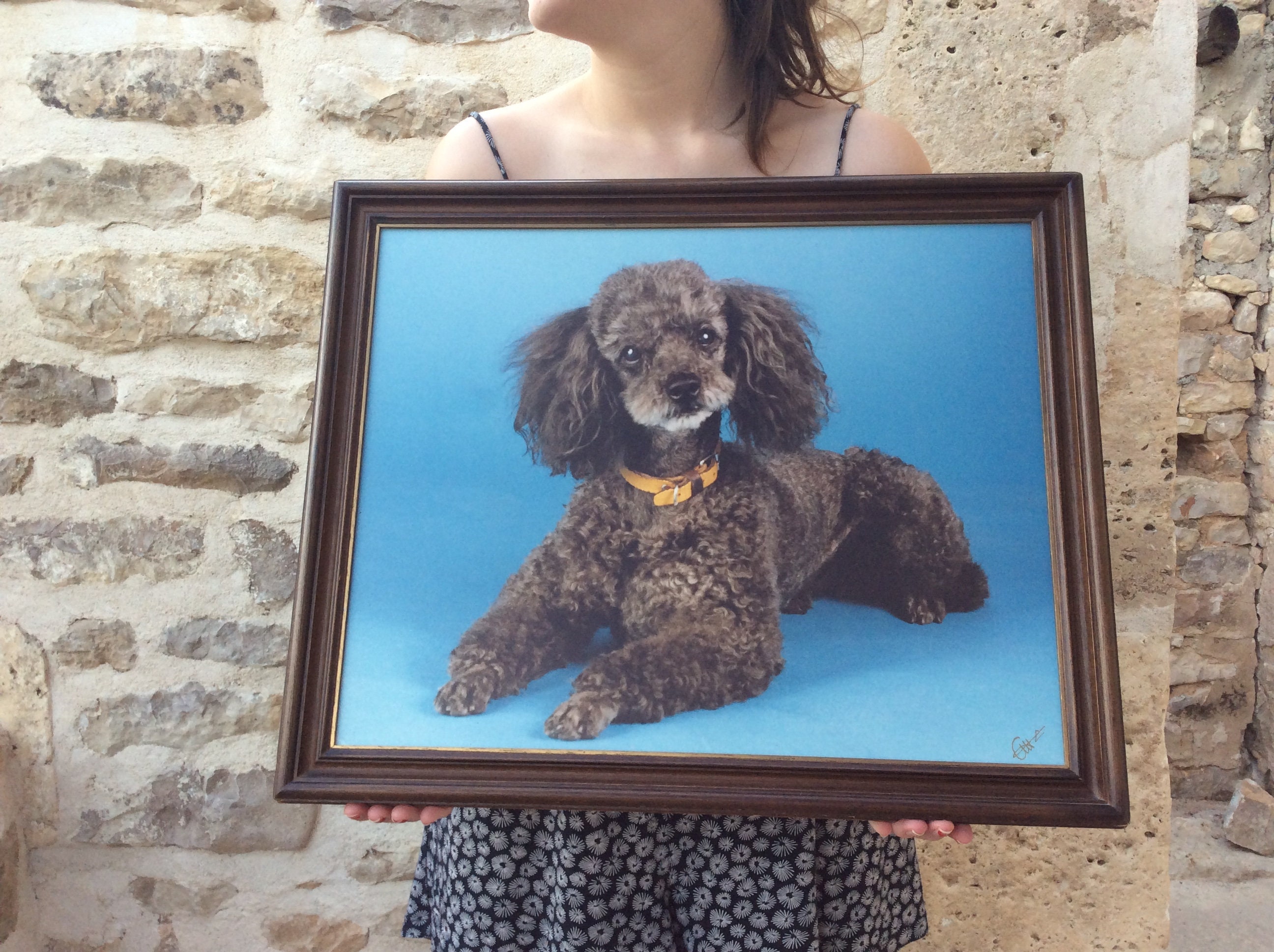 Grand Art Encadré de Mur Caniche - Kitsch Photo Encadrée Gris