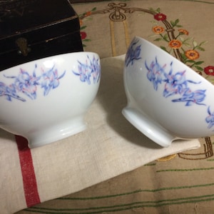 2 Limoges Porcelain Iris Flowers Cafe au lait bowls, French Breakfast Bowls, Iris Decor Bowl, Iris Decorated Bowl, Pale Blue and Pink Iris