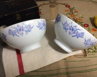2 bols café au lait en porcelaine de Limoges, bols de petit-déjeuner Français, bol de décor iris, bol décoré d’iris, iris bleu pâle et rose iris