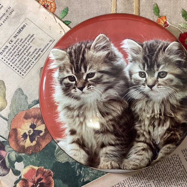 Boîte à bonbons en étain vintage Français chatons tigrés aux cheveux longs, boîte en métal à bonbons ornée de chatons mignons, boîte à bonbons vintage bébé chats kitsch