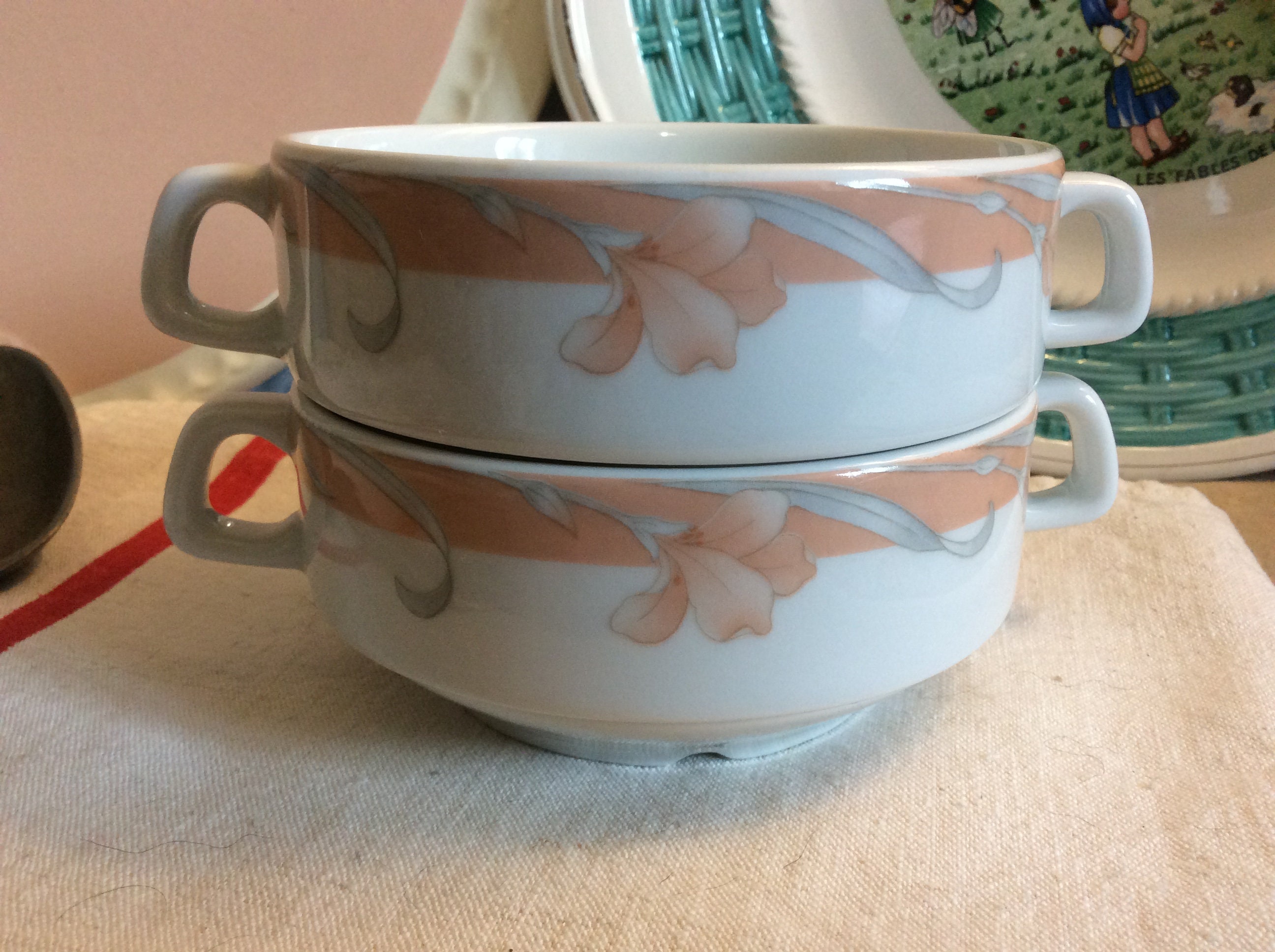 2 Bols de Soupe Apilco Carmen Vintage Français - Décor Fleurs Rose Pâle et Gris Bols Bouillon Indivi