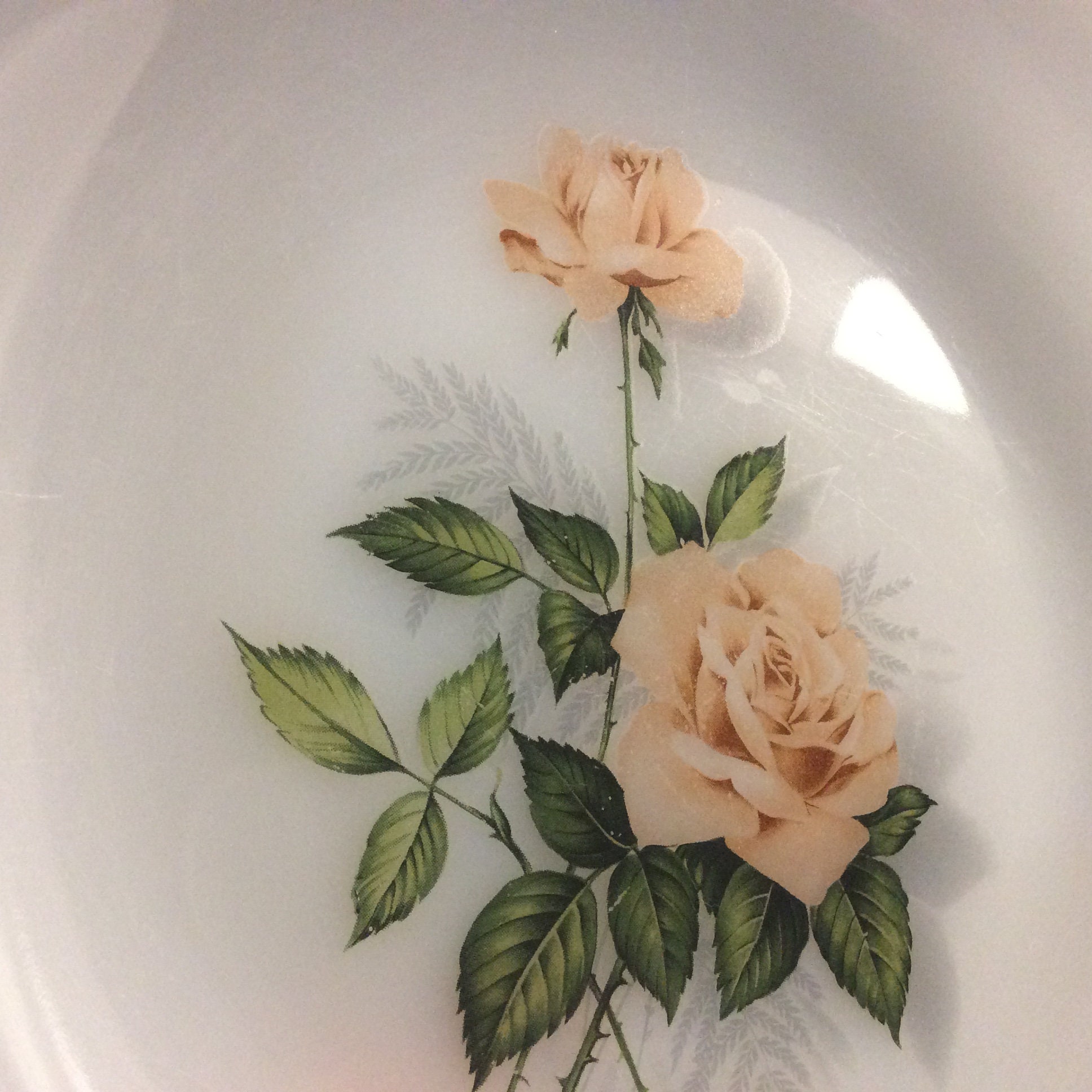 3 Assiettes de Soupe Vintage Arcopal - Plaques Design Fleurs Rétro Vieilles Roses Arcopal