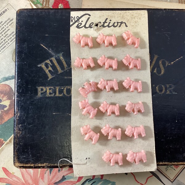 17 boutons en plastique français antiques/vintage rose layette chien des Highlands de l'Ouest - boutons de terrier écossais vintage français pour vêtements d'enfants