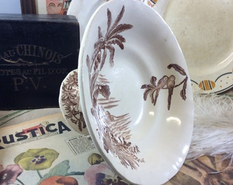 Français Antique Longchamp Brown Transferware Exotique Footed Bowl - Assiette d’oiseau exotique - Longchamp Ironstone - Décor de bananier - Désert