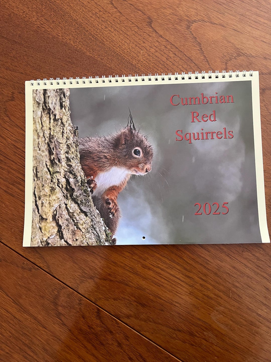 2025 Cumbrian Red Squirrels Calendar Made for Penrith & District Red